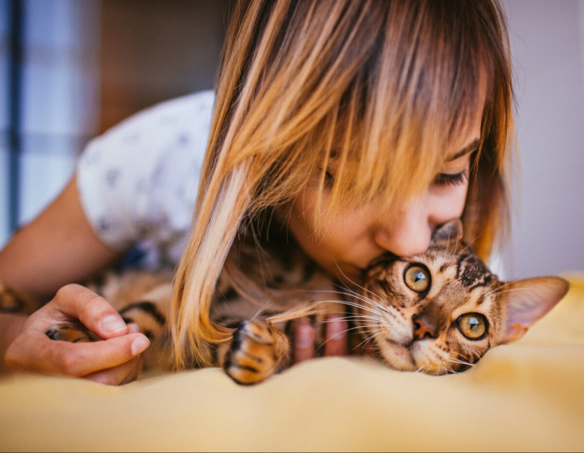 5 astuces zéro déchet pour vos chats et chiens