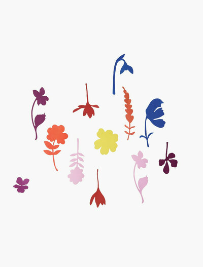 Fleurs des champs