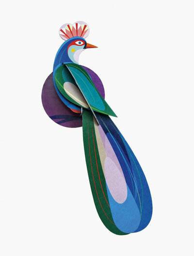 Oiseau de paradis Banda