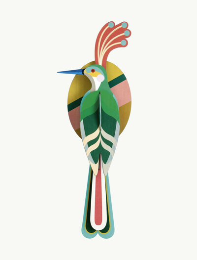 Oiseau de paradis Nias