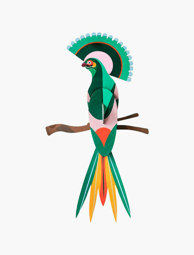 Oiseau paradisiaque Gili