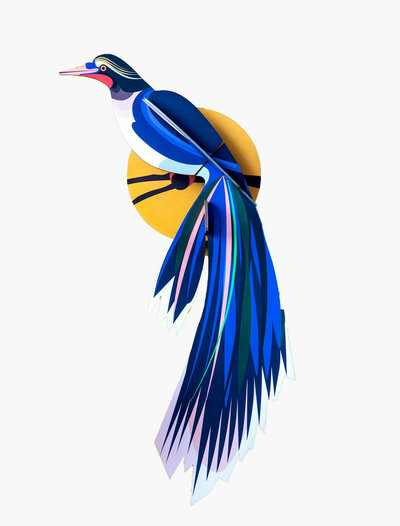 Oiseau de paradis flores