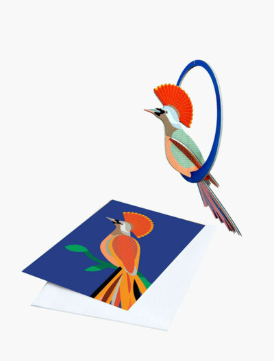 Cartes 3D à offrir Obi